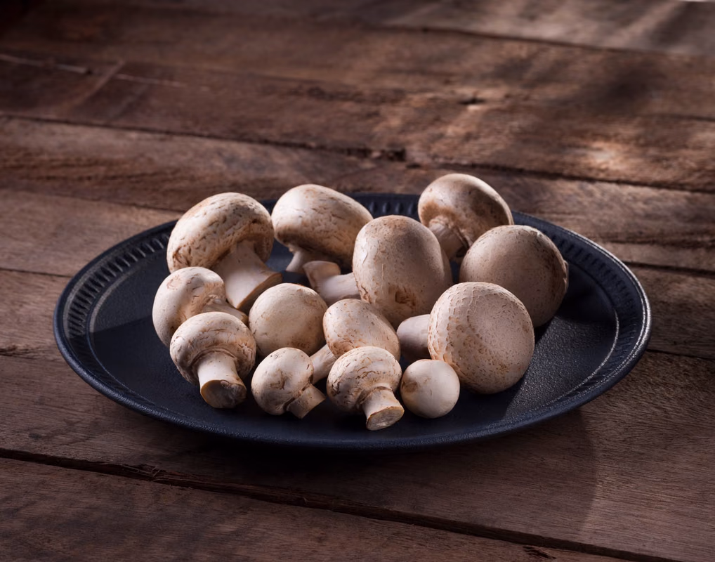 Champignons à la maison