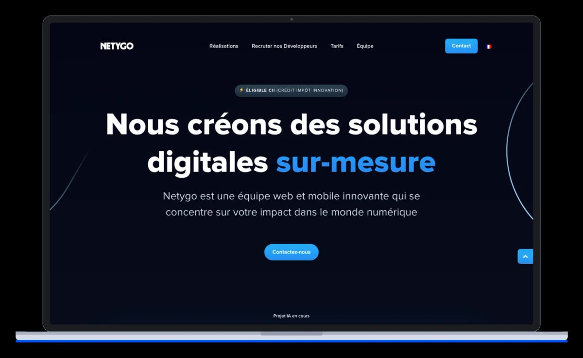 Netygo, développement web et plateformes sur mesure